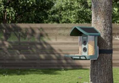 AI Bird Feeders Are Becoming the Surprise Smart Gadget Trend of 2026