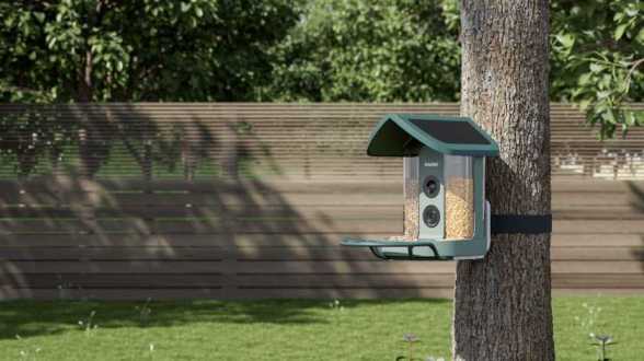 AI Bird Feeders Are Becoming the Surprise Smart Gadget Trend of 2026